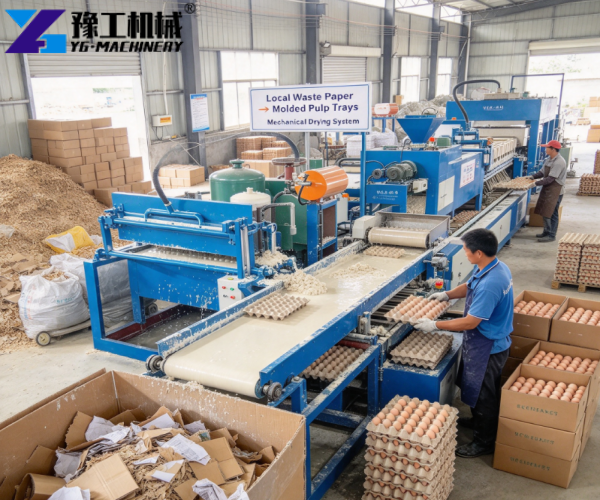 application of egg tray machine