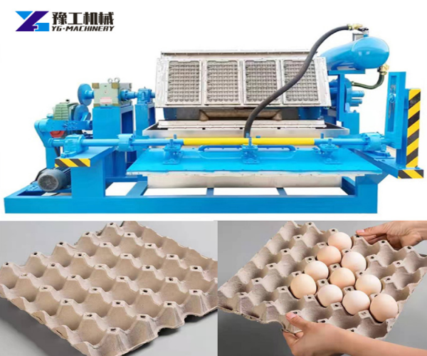 egg tray machine
