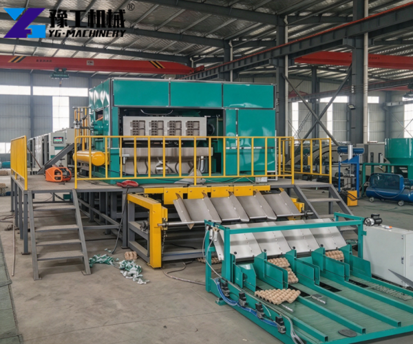fully automatic egg tray machine price