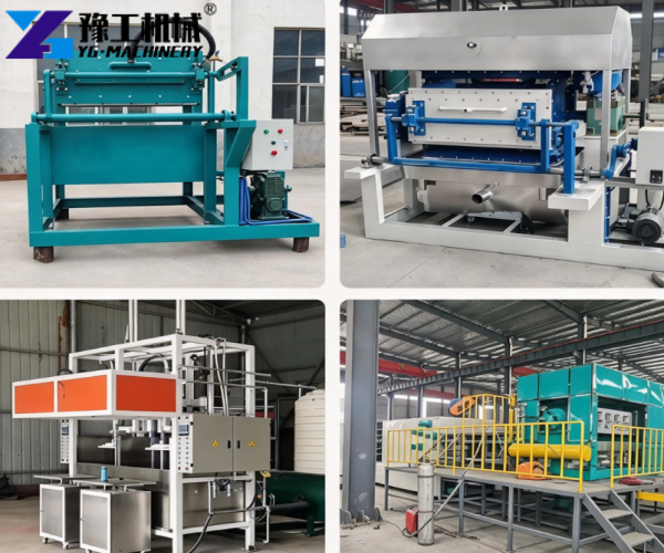 fully automatic egg tray machine price